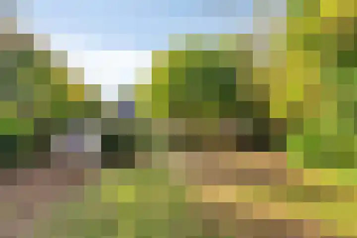 Oude Dordsedijk 29 Klazienaveen thumbnail 40