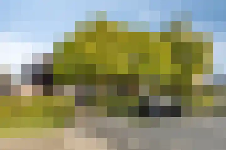 Oude Dordsedijk 29 Klazienaveen thumbnail 46