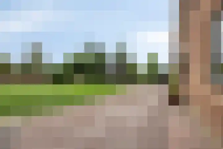 Oude Dordsedijk 47 Klazienaveen thumbnail 19
