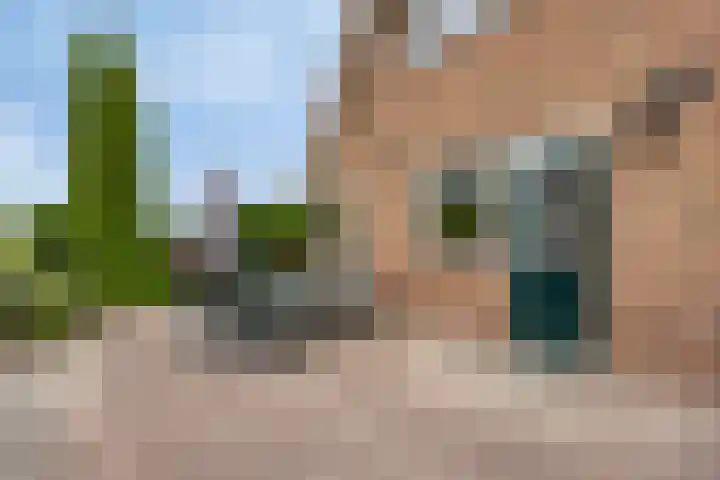Oude Dordsedijk 47 Klazienaveen thumbnail 20