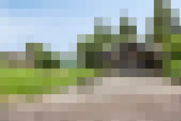 Oude Dordsedijk 47 Klazienaveen thumbnail 21