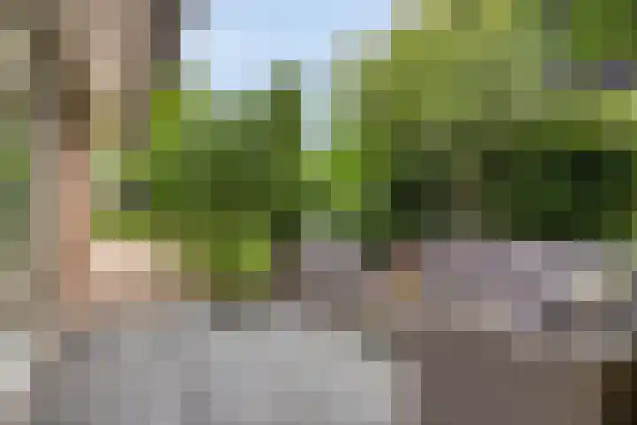 Oude Dordsedijk 47 Klazienaveen thumbnail 22