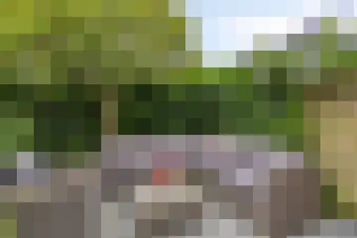 Oude Dordsedijk 47 Klazienaveen thumbnail 23