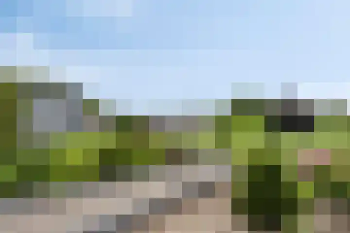 Oude Dordsedijk 47 Klazienaveen thumbnail 27