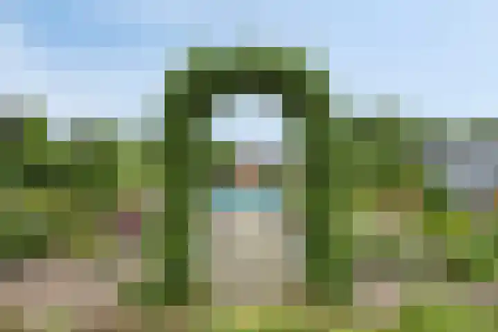 Oude Dordsedijk 47 Klazienaveen thumbnail 28