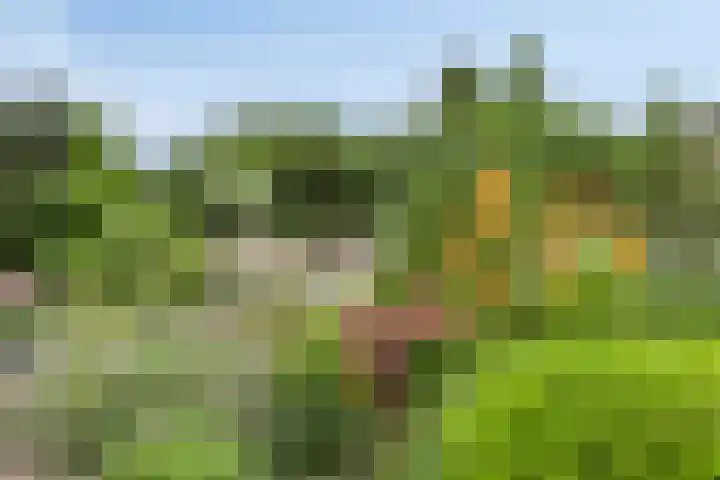 Oude Dordsedijk 47 Klazienaveen thumbnail 29