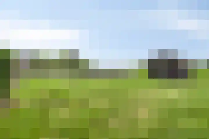 Oude Dordsedijk 47 Klazienaveen thumbnail 30