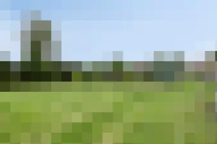 Oude Dordsedijk 47 Klazienaveen thumbnail 31