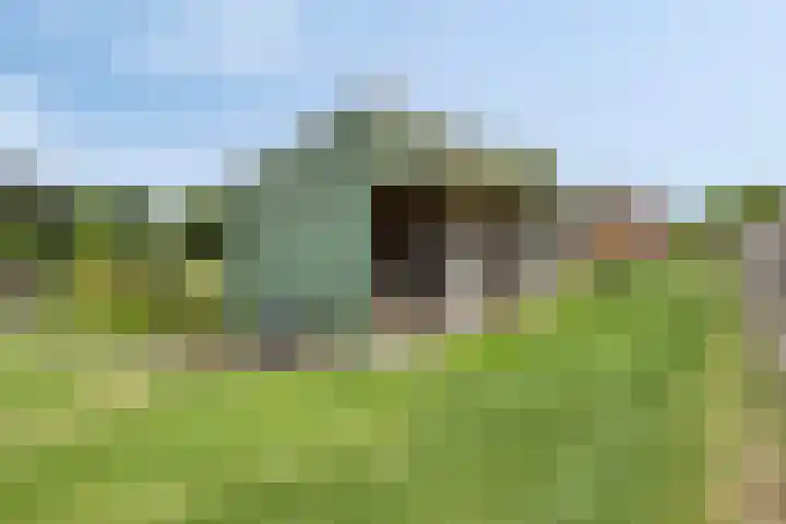 Oude Dordsedijk 47 Klazienaveen thumbnail 32