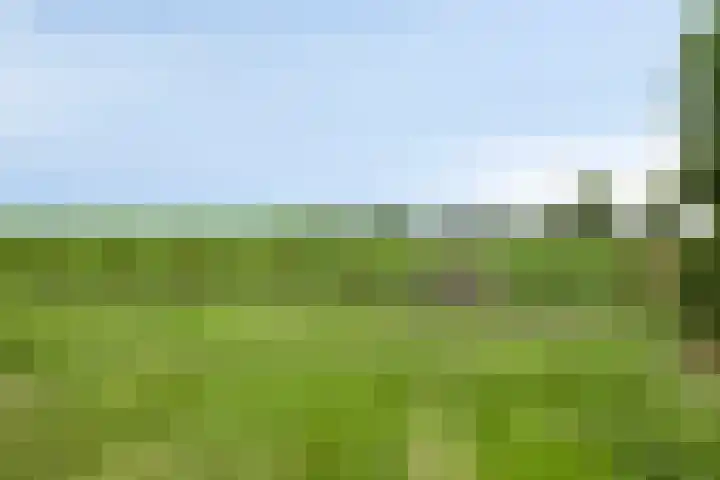 Oude Dordsedijk 47 Klazienaveen thumbnail 33
