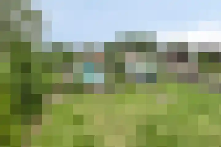 Oude Dordsedijk 47 Klazienaveen thumbnail 34