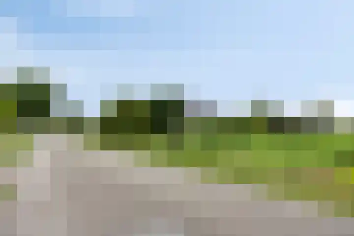 Oude Dordsedijk 47 Klazienaveen thumbnail 35