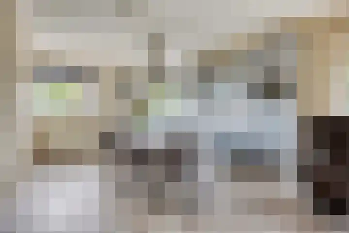 Oude Dordsedijk 47 Klazienaveen thumbnail 7