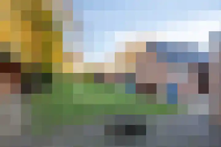 Oude Dordsedijk 50 Klazienaveen thumbnail 23