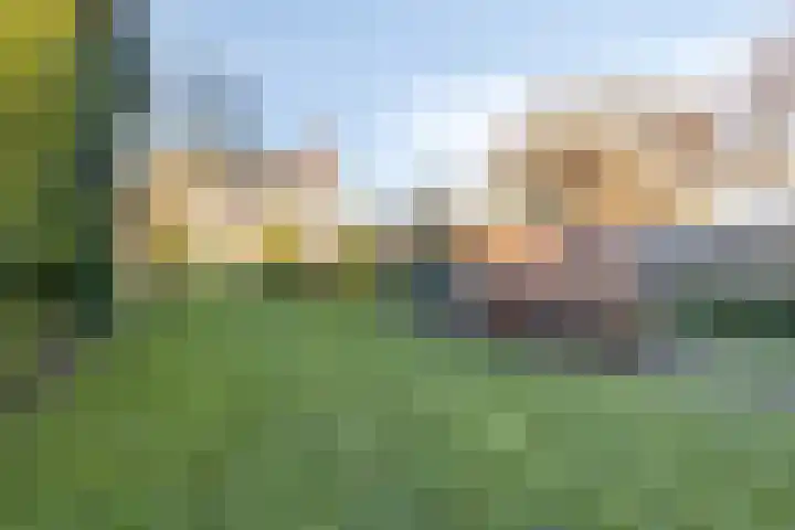 Oude Dordsedijk 50 Klazienaveen thumbnail 24