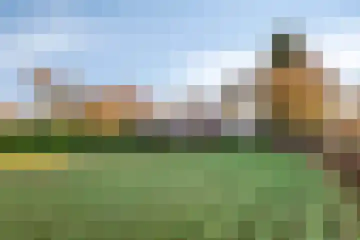 Oude Dordsedijk 50 Klazienaveen thumbnail 26
