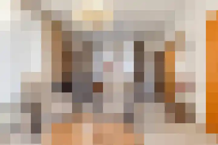 Oude Dordsedijk 50 Klazienaveen thumbnail 5