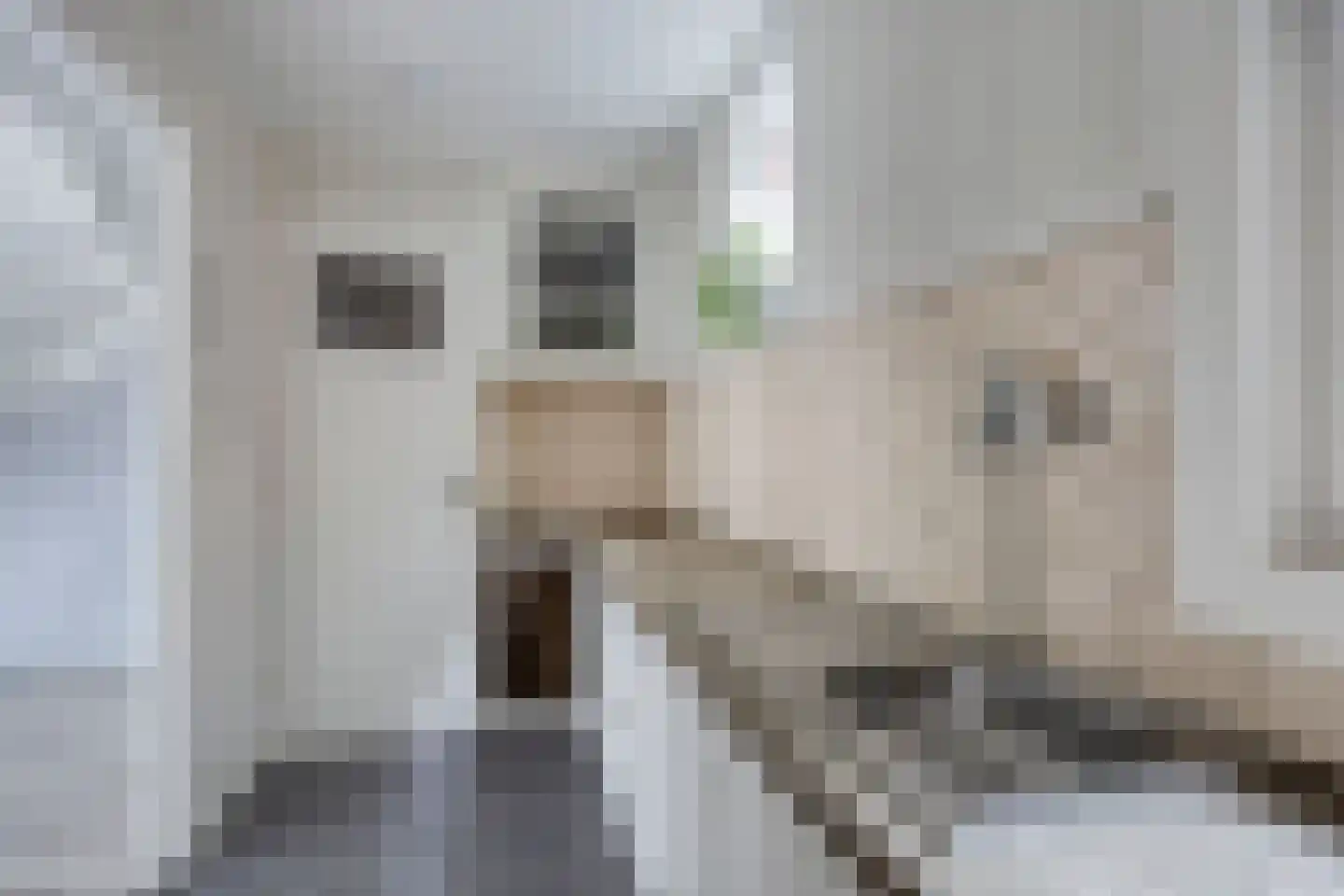 Oude Draaipad 4 Volendam thumbnail 8