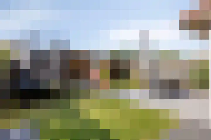Oude Drydijck 43 Sint Jansteen thumbnail 34