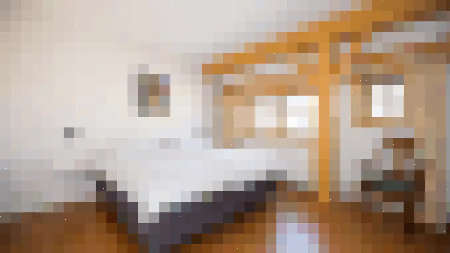 Oude Duinweg 3 Hoorn thumbnail 15