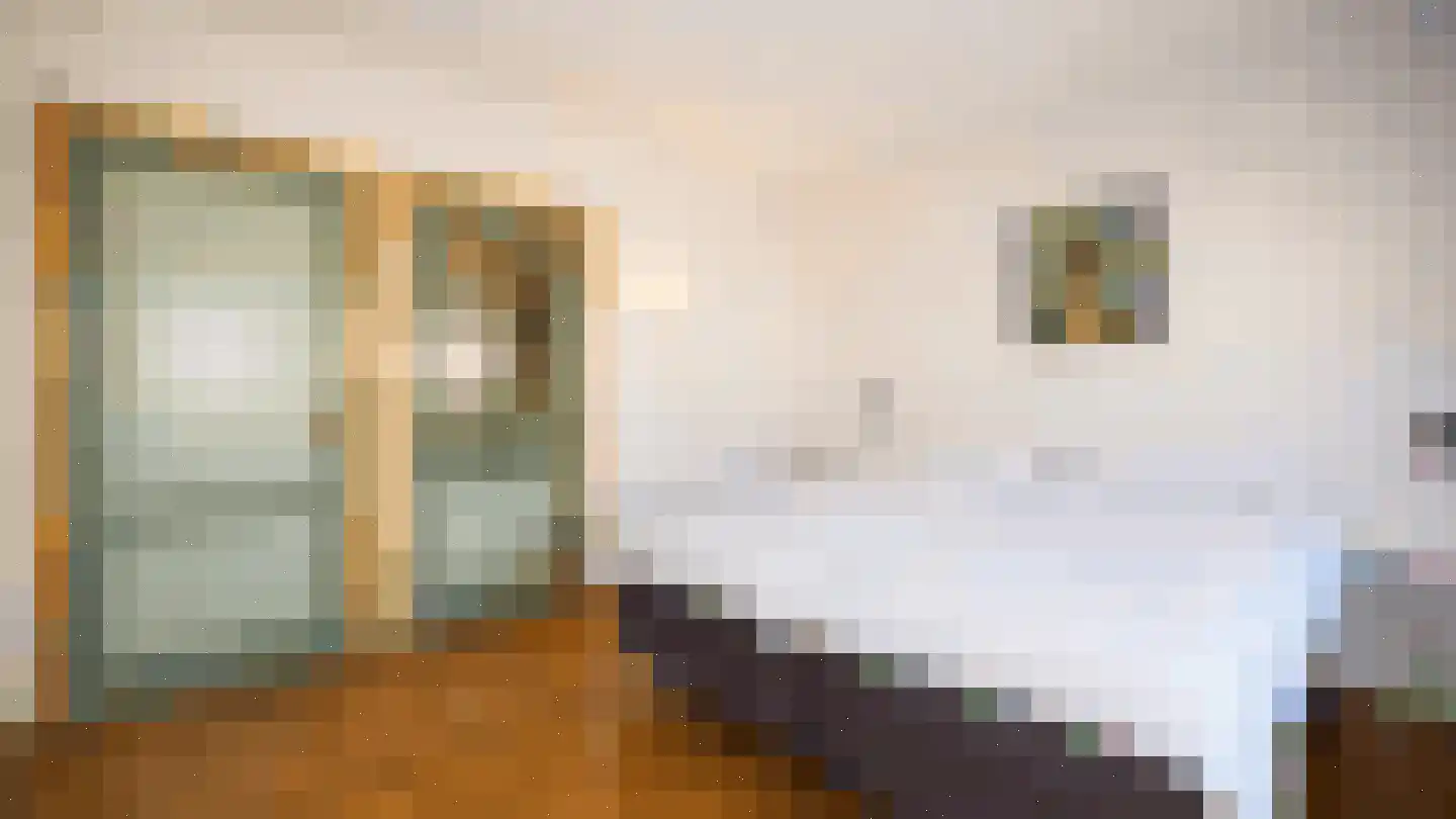 Oude Duinweg 3 Hoorn thumbnail 17