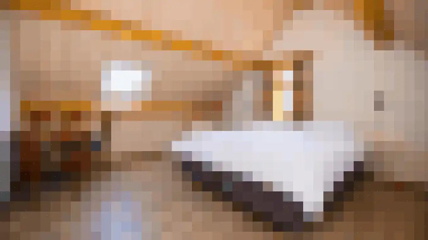 Oude Duinweg 3 Hoorn thumbnail 22