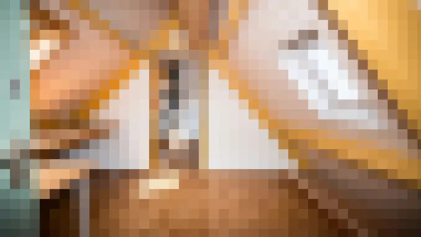 Oude Duinweg 3 Hoorn thumbnail 64