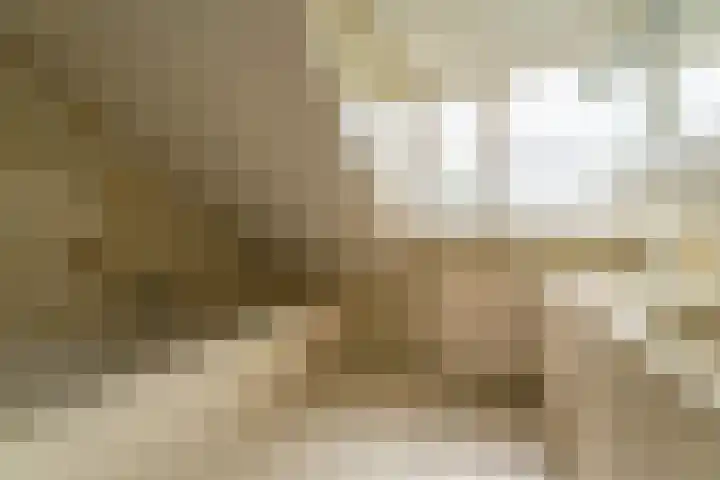 Oude Duinweg 5 Voorhout thumbnail 26