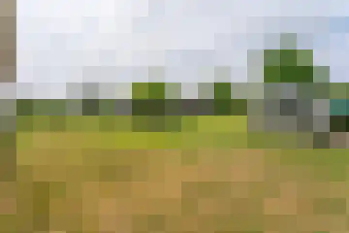 Oude Duinweg 5 Voorhout thumbnail 34