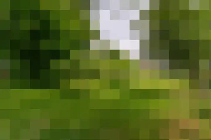 Oude Duinweg 5 Voorhout thumbnail 36