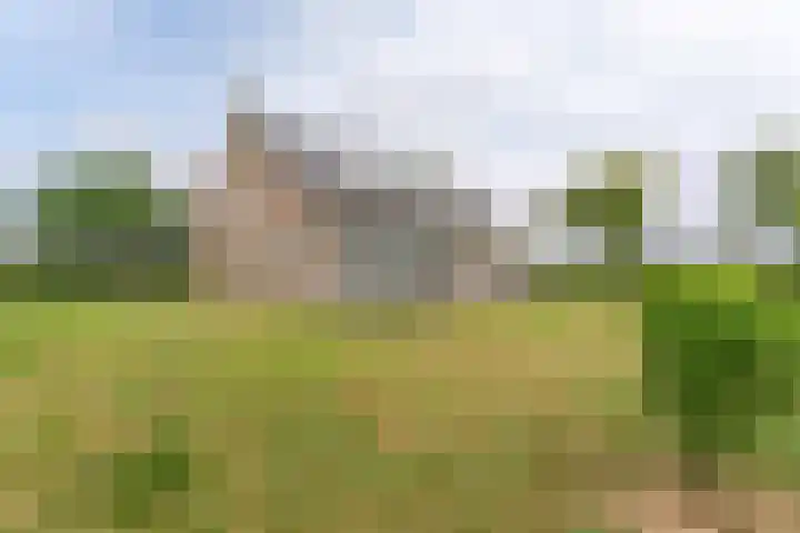 Oude Duinweg 5 Voorhout thumbnail 37