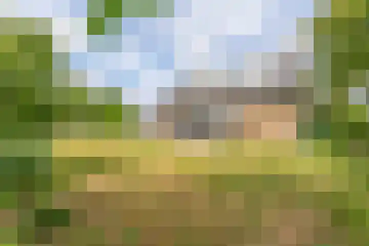 Oude Duinweg 5 Voorhout thumbnail 38