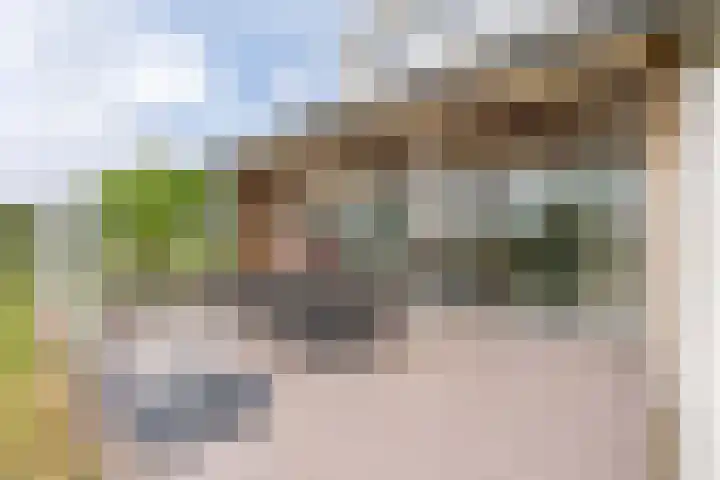 Oude Duinweg 5 Voorhout thumbnail 39