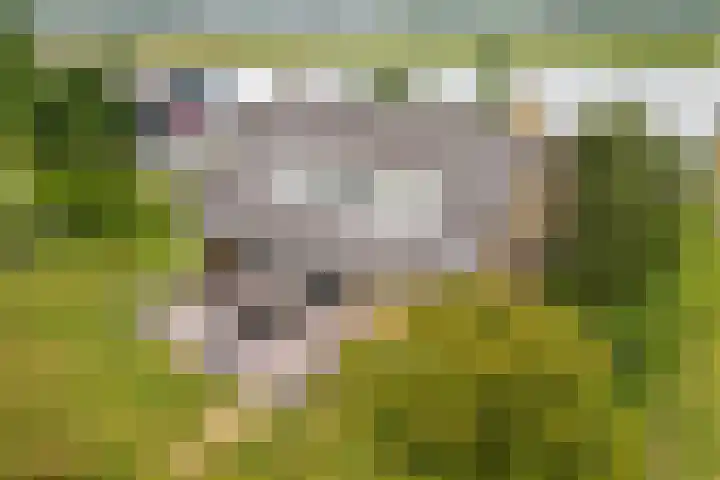 Oude Duinweg 5 Voorhout thumbnail 43