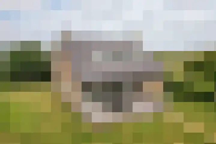 Oude Duinweg 5 Voorhout thumbnail 44