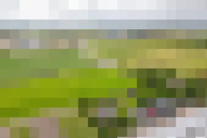 Oude Duinweg 5 Voorhout thumbnail 45