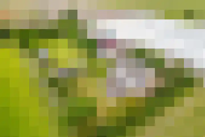 Oude Duinweg 5 Voorhout thumbnail 46