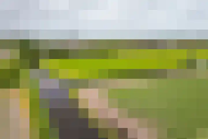 Oude Duinweg 5 Voorhout thumbnail 47