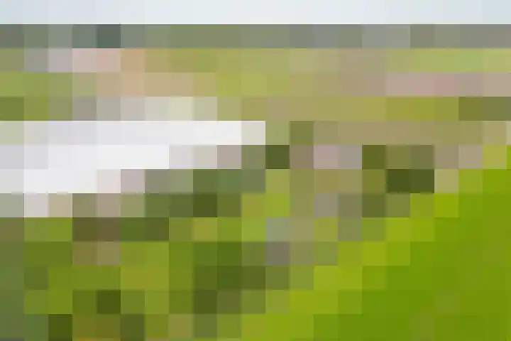 Oude Duinweg 5 Voorhout thumbnail 48