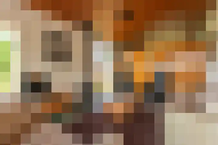 Oude Duinweg 5 Voorhout thumbnail 5