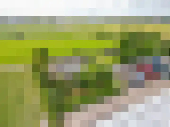 Oude Duinweg 5 Voorhout thumbnail 58