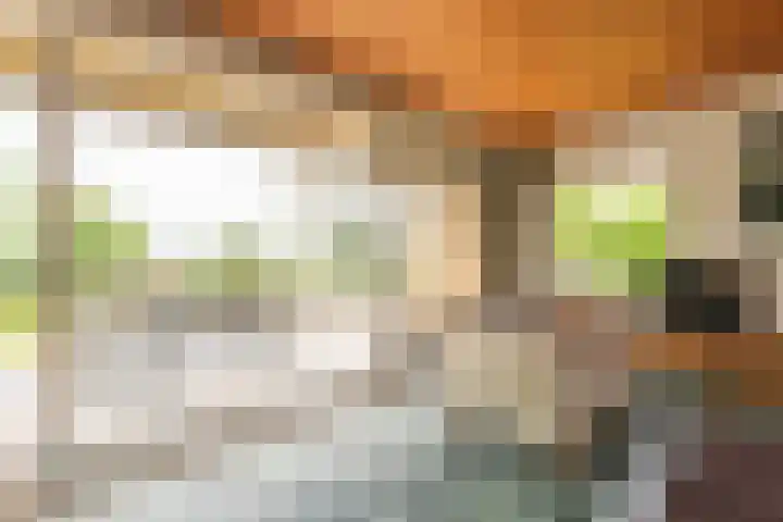 Oude Duinweg 5 Voorhout thumbnail 9