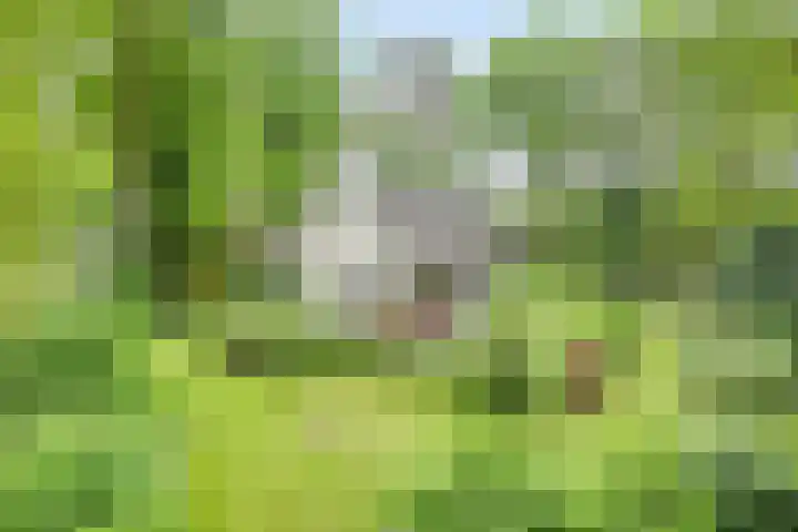 Oude Dwingelerdijk 4 in Ansen