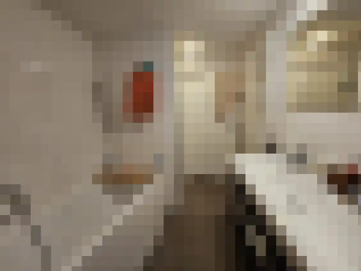 Oude Ebbingestraat 24 Groningen thumbnail 5