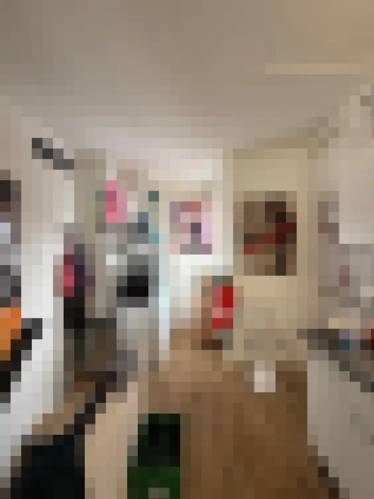 Oude Ebbingestraat Groningen thumbnail 4