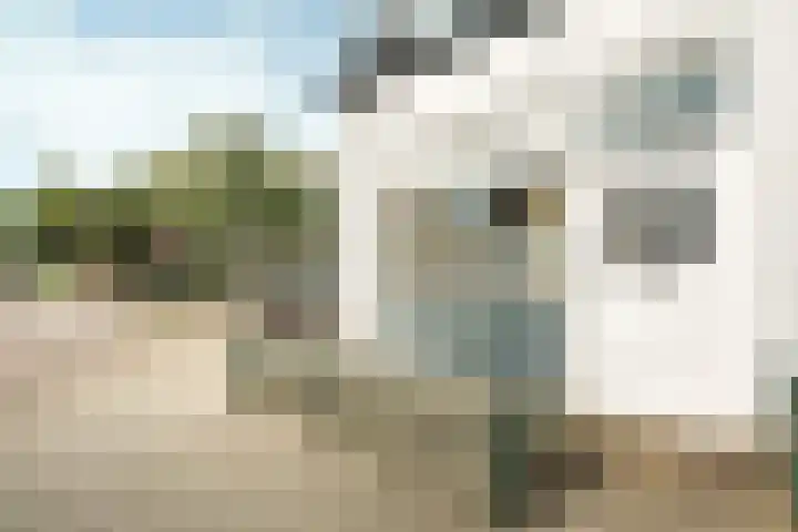Oude Eekmolenweg 31 Wageningen thumbnail 4