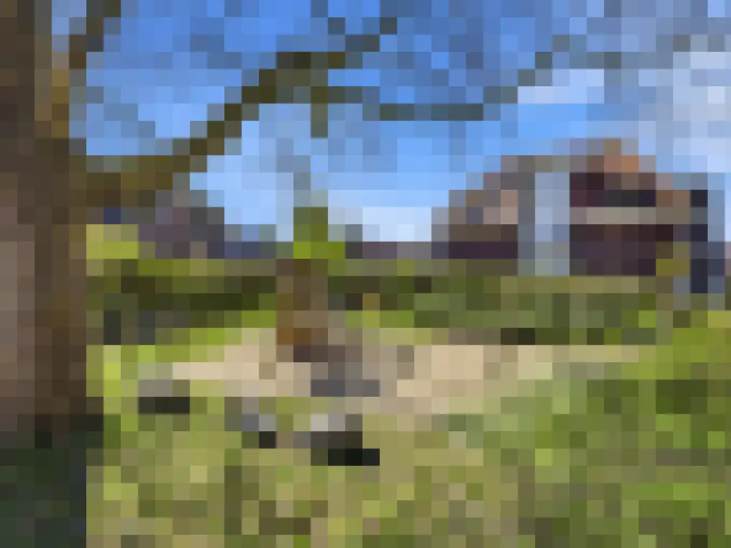 Oude Eekmolenweg 45 Wageningen thumbnail 37