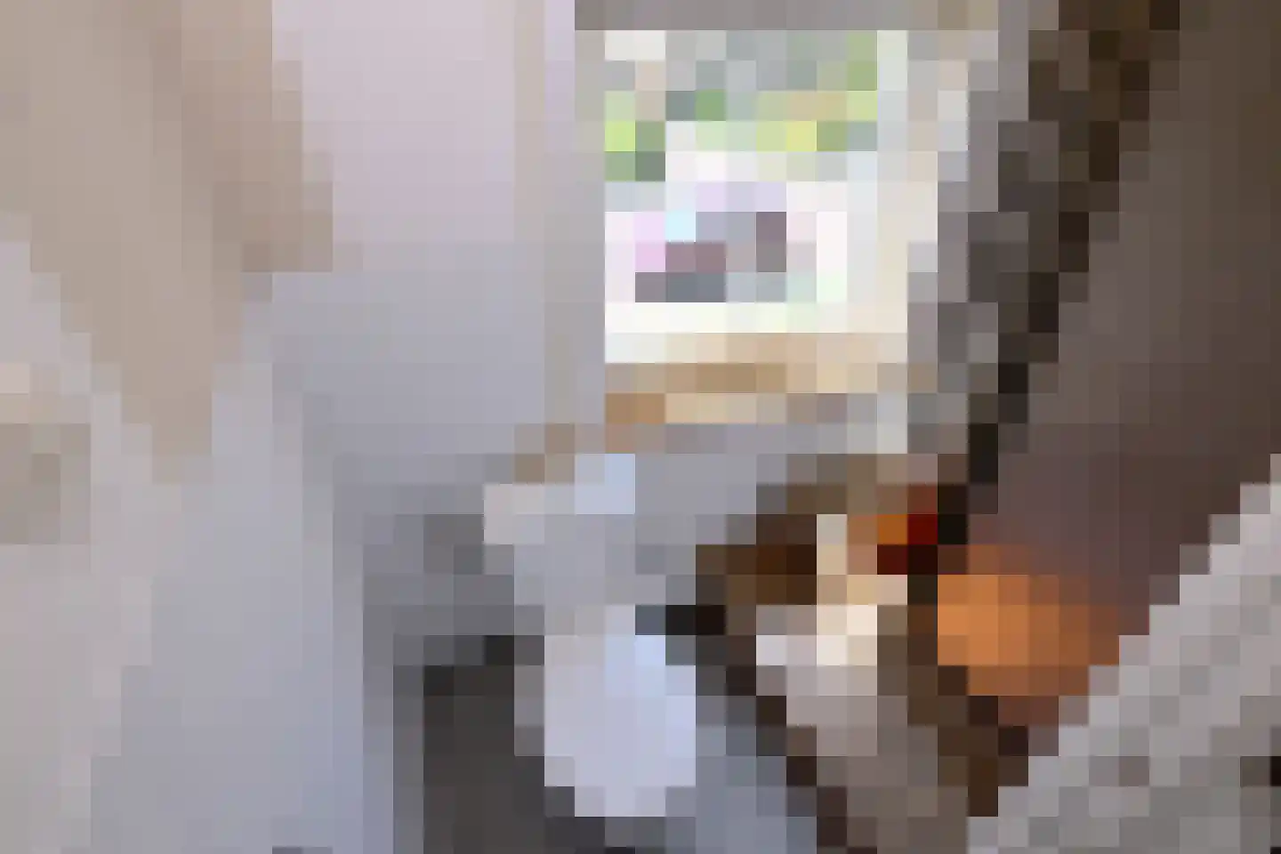 Oude Eerbeekseweg 6 Brummen thumbnail 31