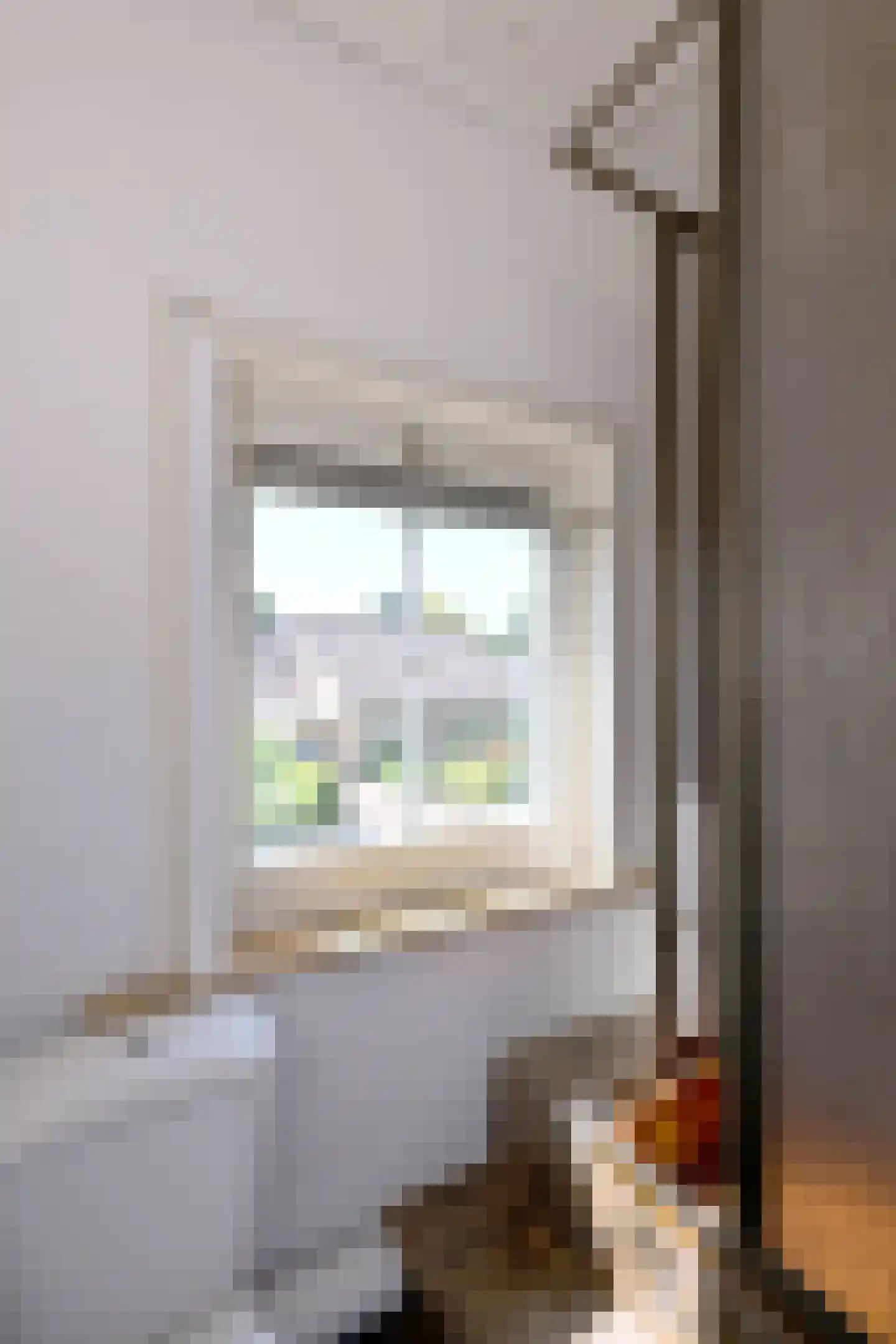 Oude Eerbeekseweg 6 Brummen thumbnail 32