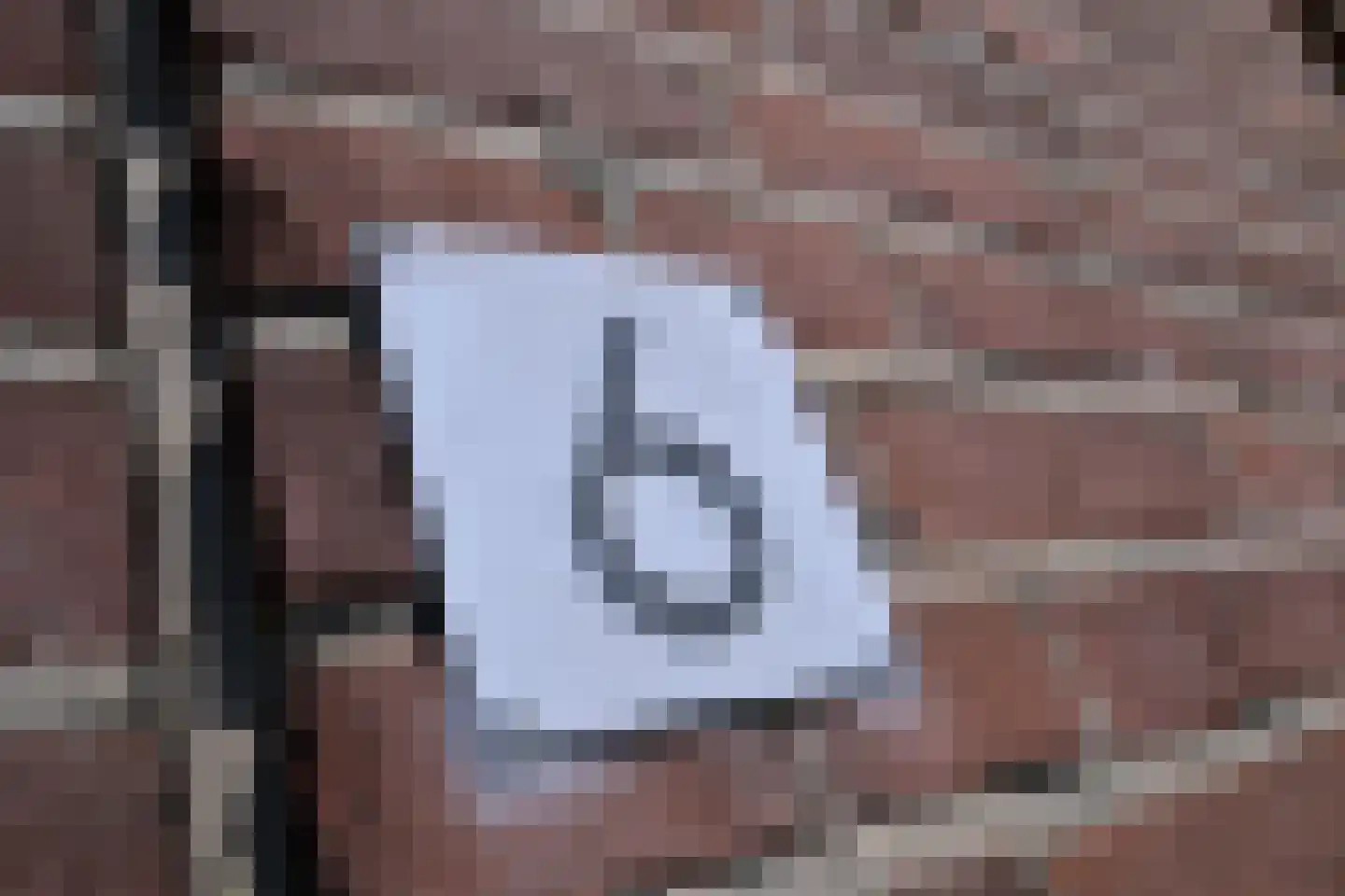 Oude Eerbeekseweg 6 Brummen thumbnail 40